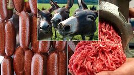 İki ilde alarm! Et ürünlerinde mide bulandıran bulgu