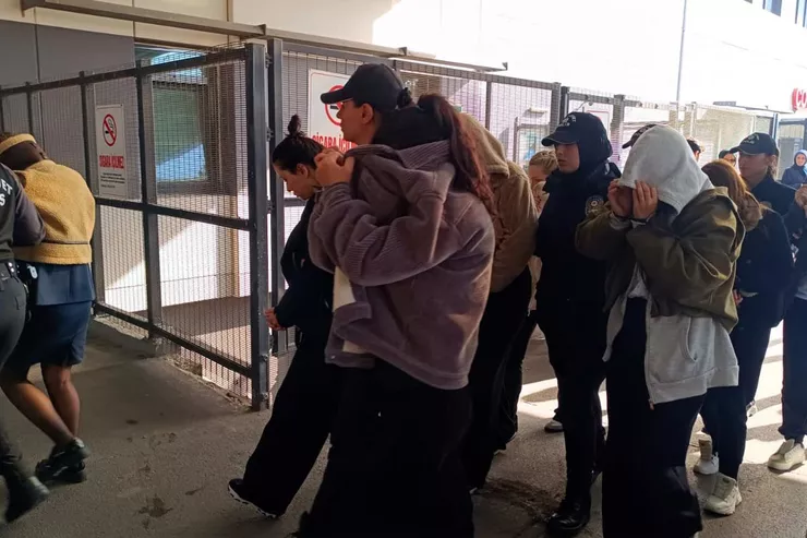 Yasa dışı 'üreme ticareti' operasyonu: 8 kişi tutuklandı